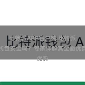 比特派APP客户端 比特派钱包安全吗？专家详解其全面优势