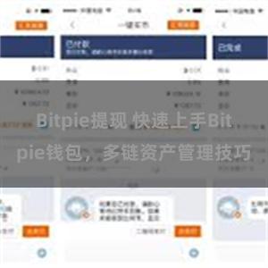 Bitpie提现 快速上手Bitpie钱包，多链资产管理技巧