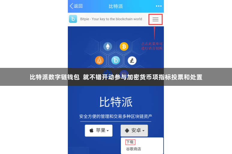 比特派数字链钱包  就不错开动参与加密货币项指标投票和处置