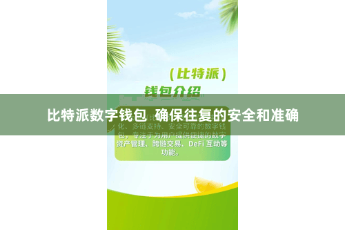 比特派数字钱包 确保往复的安全和准确