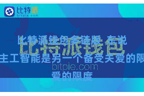 比特派钱包多链版  东说念主工智能是另一个备受关爱的限度